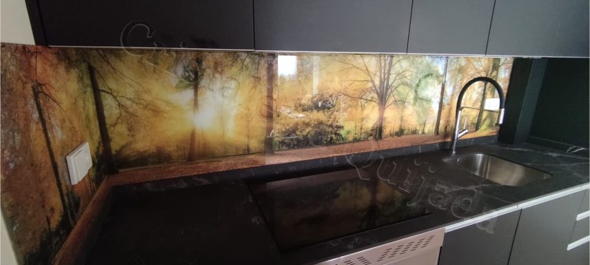 Paisaje en zona de coción